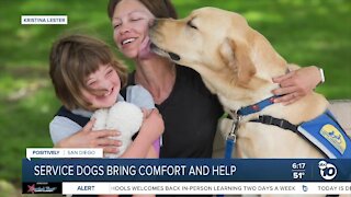 Positively San Diego: Service dogs bring comfort and help