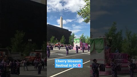 Cherry blossom parade and festival in DC #shorts