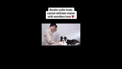 Dog helps to heal his cancer stricken owner