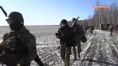 ukrainian counter attack