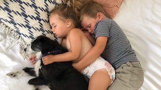 Siblings cuddle with rescue dog for nap time