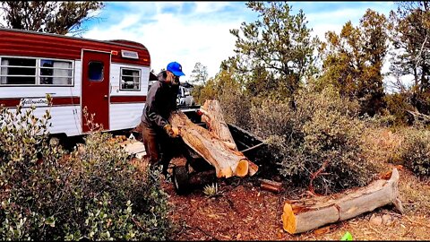 Off-Grid Living at it's Finest - Tasty Sandwiches and Harvesting MASSIVE Old Growth Juniper Trees