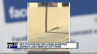 Pet python on the loose in metro Detroit, last seen at city park