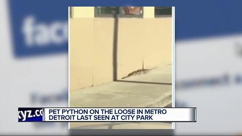 Pet python on the loose in metro Detroit, last seen at city park