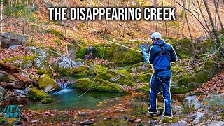 Fly Fishing an INCREDIBLE Creek for Trout!! (Winter fishing)