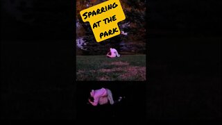 Public Display: Sparring at the Park