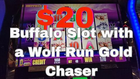 Playing $20 on Buffalo Slot at Silverton Casino - Las Vegas