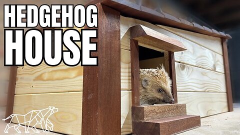 Building a Luxury Hedgehog House