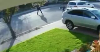 INSTANT Regret After Hoodlum Tries to Rob a Man at Gunpoint - Listen to Him Squeal Like a Pig