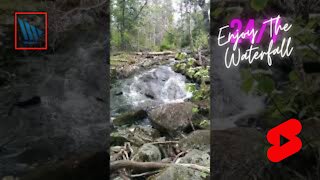 Enjoy the Waterfall - 4K Hike #shorts