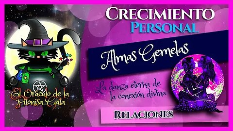 💘ALMAS GEMELAS 💘 La danza eterna de la conexión divina 😺 40 señales para reconocer a tu alma gemela🌺