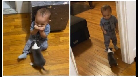 Baby has adorable reaction to new puppy addition