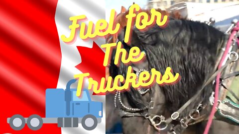 Freedom Truckers 2022 " You can't use horses to bring that fuel through "
