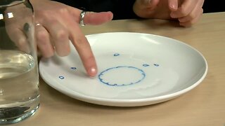 Make your art come alive with this fun science experiment