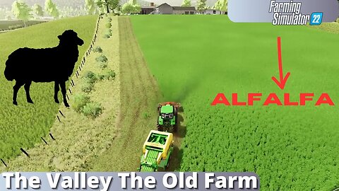 Baa-tiful Farming | The Valley The Old Farm 3 | FS22