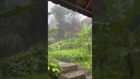 Rain sounds from Bali for sleeping💤