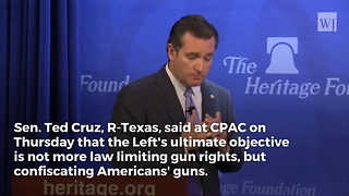 Cruz Exposes What Left Really Wants When It Comes to School Shootings