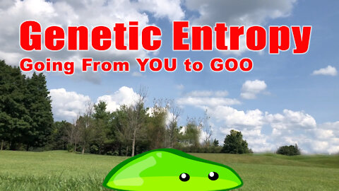 You Are Going From YOU to GOO! (Genetic Entropy)