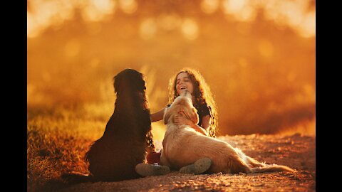 Sunset with my dog, my friend
