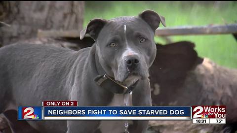 Neighbors fight to save starving dog