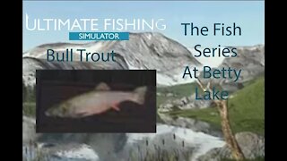 Ultimate Fishing Simulator: The Fish - Betty Lake - Bull Trout - [00002]