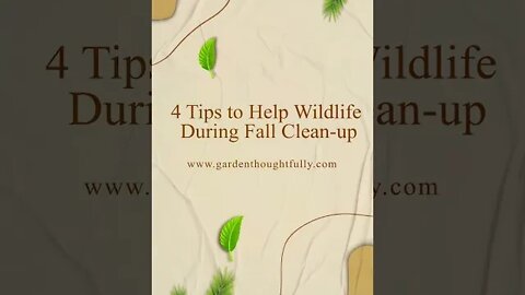 4 Tips to Help Wildlife during Fall Clean-up
