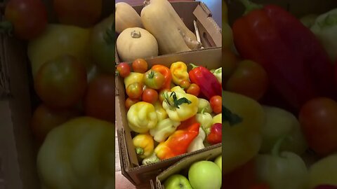 Local farm stand haul and garden harvest.