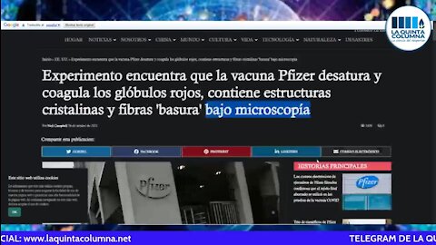 La Quinta Columna - Programa 171 - Normalización del crimen