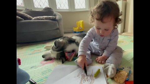 Baby loves to draw pictures next to a sleeping dog
