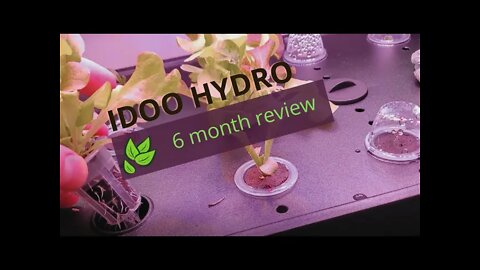 iDOO Hydro System 6 Month Review