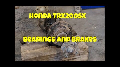 Honda TRX200SX Bearings And Brakes