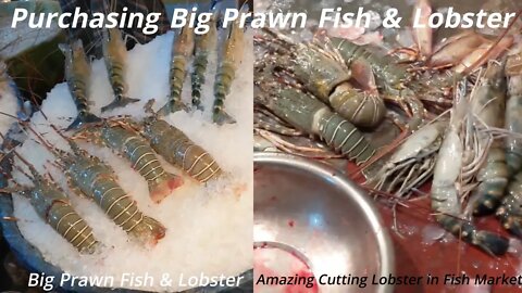 Purchasing Big Prawn Fish & Lobster/ Amazing Cutting Lobster in Fish Market/ Nams Vlog