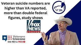 Veteran Suicide Double What Government States