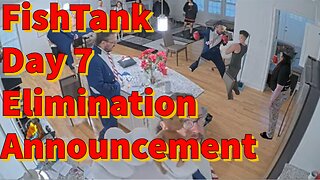 FishTank Live Day 7 Elimination Announcement