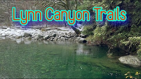 Lynn Canyon Trails (Suspension Bridge) 2022