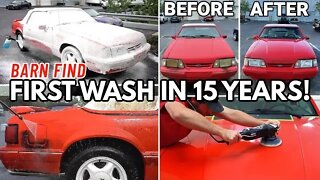 Abandoned BARN FIND 1992 Ford Mustang | First Wash In 15 Years | Car Detailing Restoration How To!