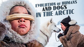 The Incredible Story of Humans and Dogs Thriving in the North American Arctic