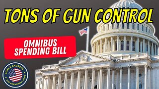 BEWARE! Tons Of Gun Control In Omnibus Spending Bill