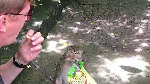 Don’t Trust The Monkeys