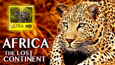 AFRICA The Lost Continent in ULTRA HD - Wilf Life in Jungle