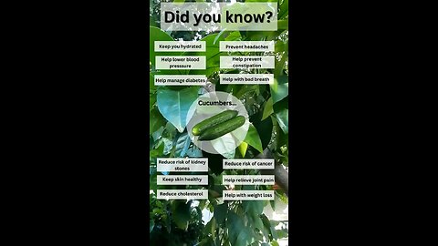 Did you know this about Cucumbers