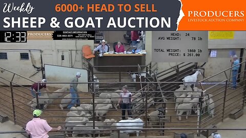 5/23/2023 - Producers Livestock Auction Company Sheep & Goat Auction