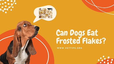 Can Dogs Eat Frosted Flakes? Feisty Fido Vs. Frosted Flakes