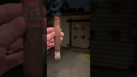 Foundation The Wise Man Maduro SHORTS Review #cigar #cigars #review #shorts #fyp