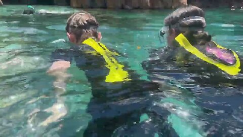 Discovery Cove 2023 08 19 14 25 17