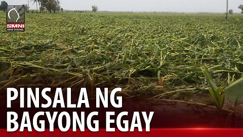 Pinsala sa sektor ng agrikultura at imprastraktura dahil sa Bagyong Egay, pumalo na sa mahigit P5-B