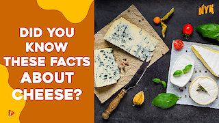 Why Is Cheese So Special? :) :)