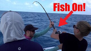 Live Bait fishing over Islamorada Wrecks {Catch Clean Cook}