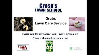 Grub Control Williamsport MD Lawn Care Service Treatments Washington County Maryland