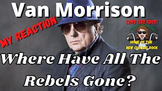 Van Morrison - Where Have All The Rebels Gone? | NEW Classic Rock REACTION